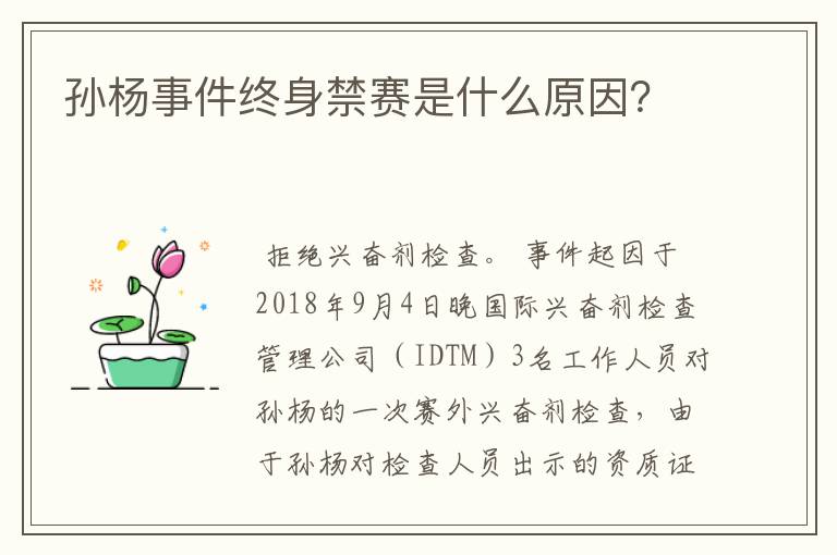 孙杨事件终身禁赛是什么原因?