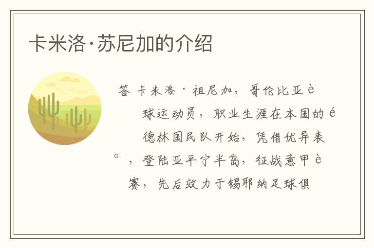 卡米洛·苏尼加的介绍