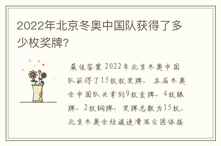 2022年北京冬奥中国队获得了多少枚奖牌?