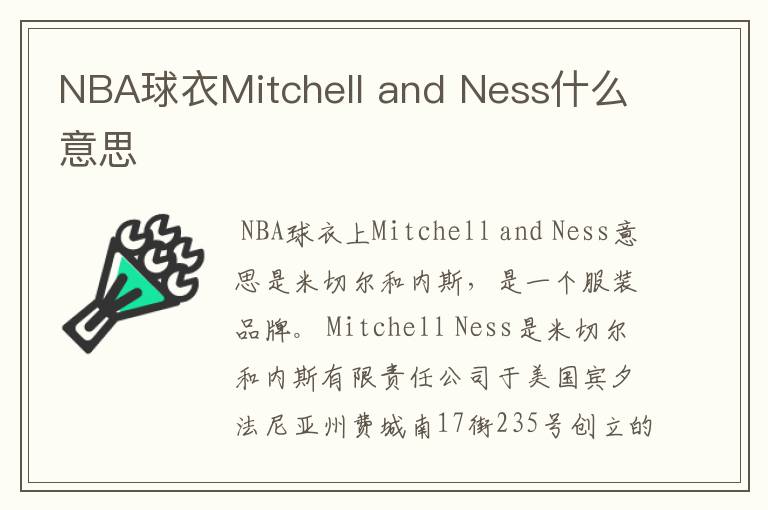 NBA球衣Mitchell and Ness什么意思