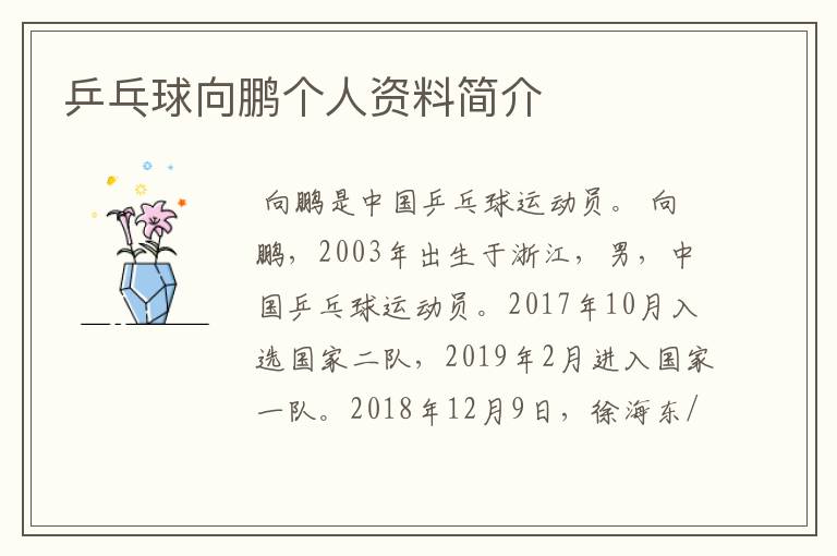 乒乓球向鹏个人资料简介