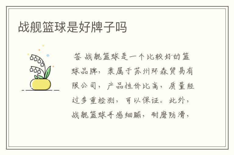 战舰篮球是好牌子吗