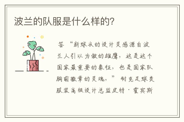 波兰的队服是什么样的？