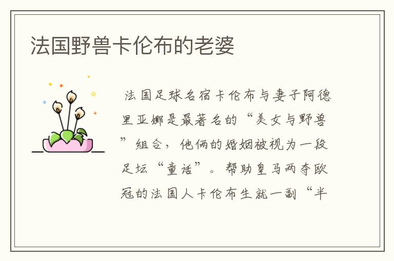 法国野兽卡伦布的老婆