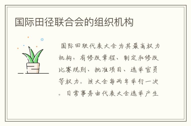 国际田径联合会的组织机构