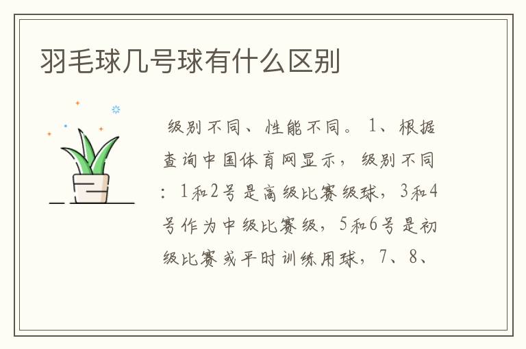 羽毛球几号球有什么区别