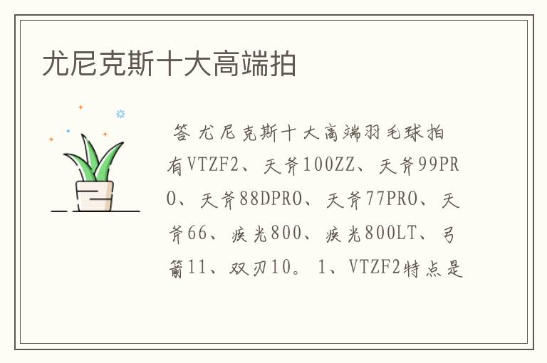 尤尼克斯十大高端拍