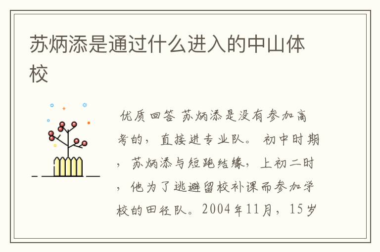 苏炳添是通过什么进入的中山体校