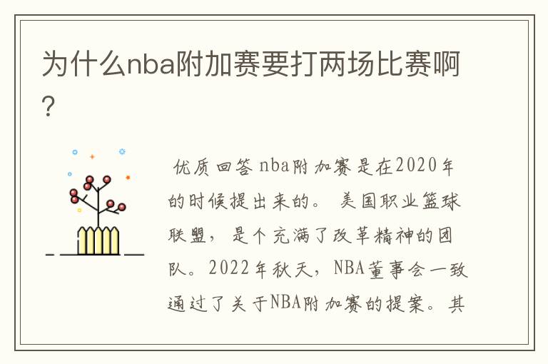为什么nba附加赛要打两场比赛啊?