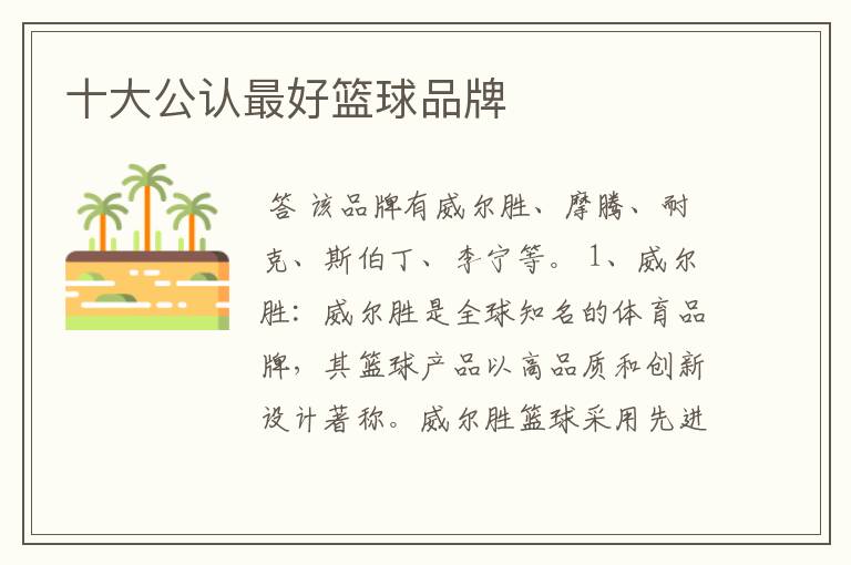 十大公认最好篮球品牌