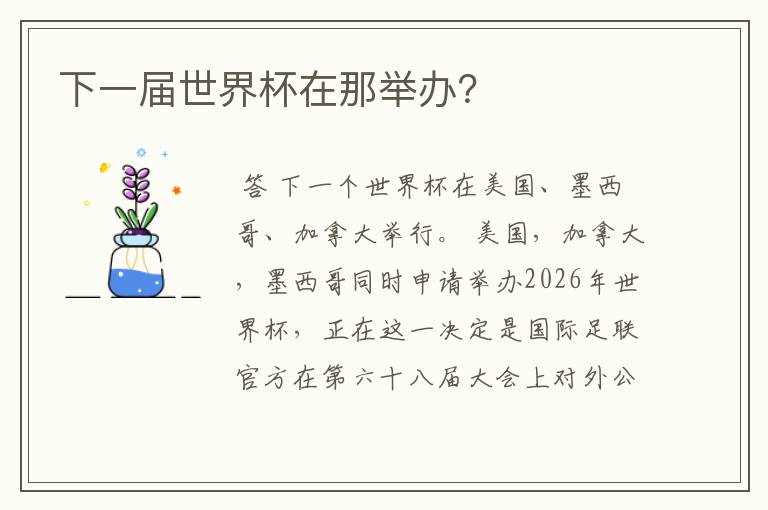 下一届世界杯在那举办?