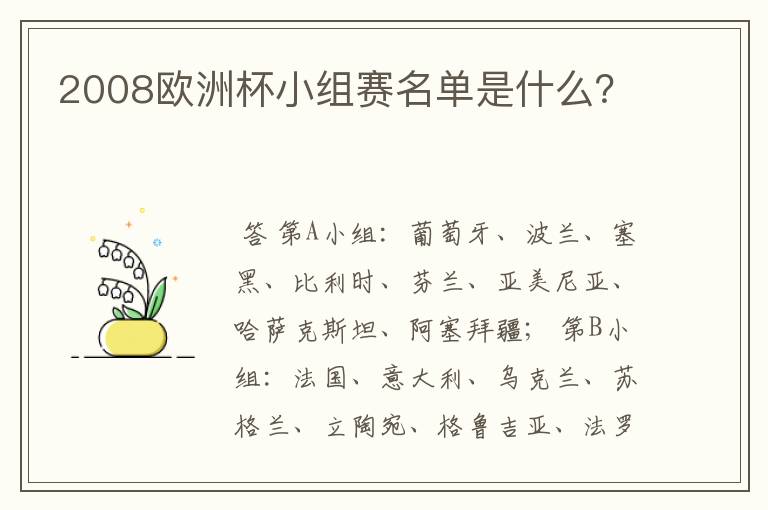 2008欧洲杯小组赛名单是什么?