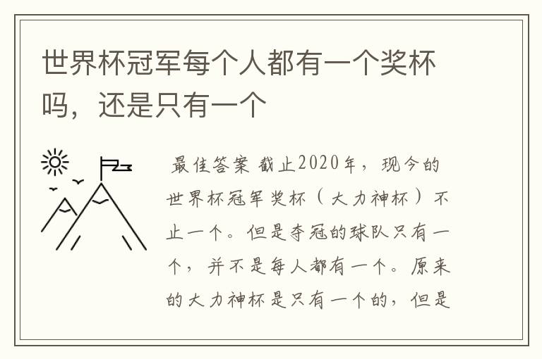 世界杯冠军每个人都有一个奖杯吗,还是只有一个