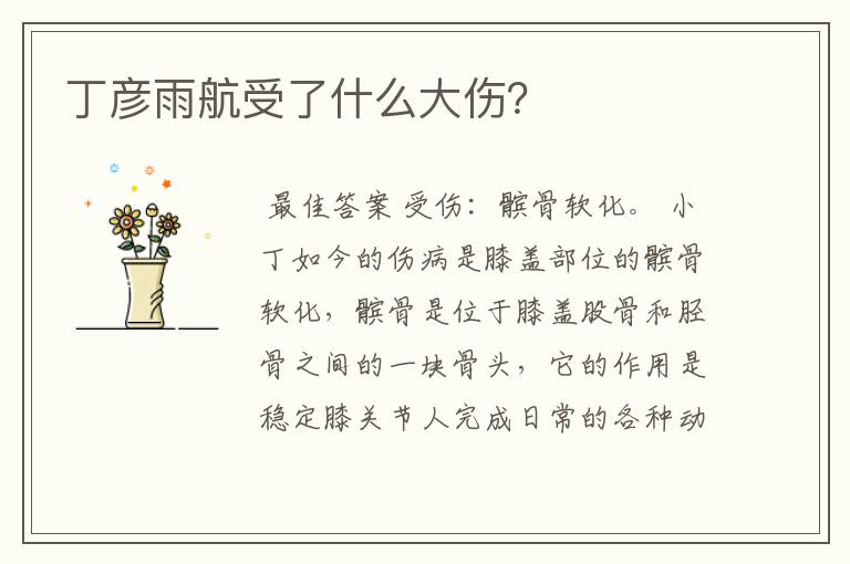 丁彦雨航受了什么大伤？