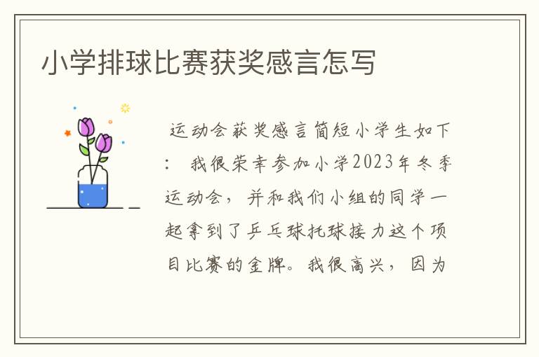 小学排球比赛获奖感言怎写