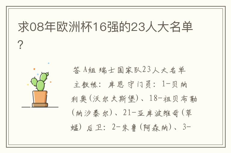 求08年欧洲杯16强的23人大名单?