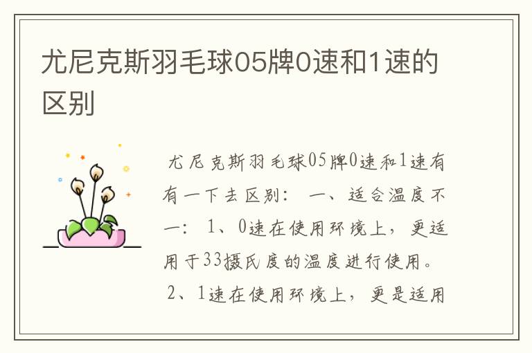 尤尼克斯羽毛球05牌0速和1速的区别