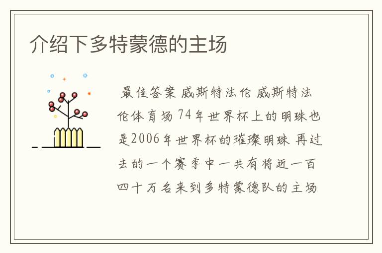 介绍下多特蒙德的主场