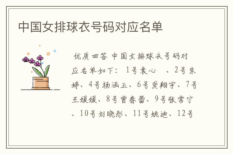 中国女排球衣号码对应名单