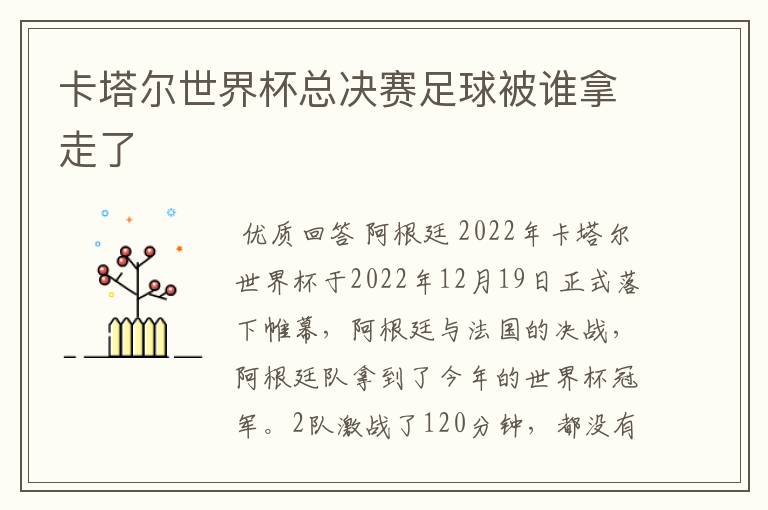 卡塔尔世界杯总决赛足球被谁拿走了