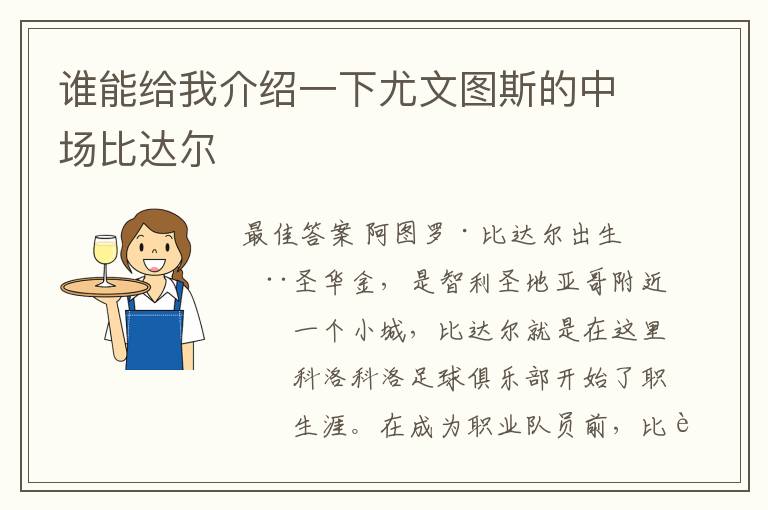 谁能给我介绍一下尤文图斯的中场比达尔