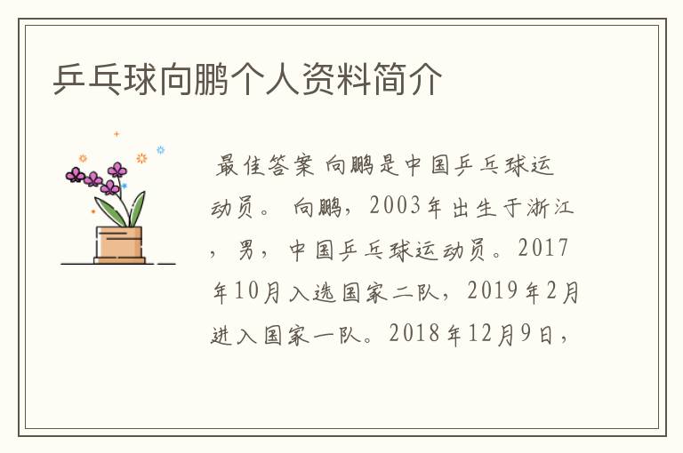 乒乓球向鹏个人资料简介