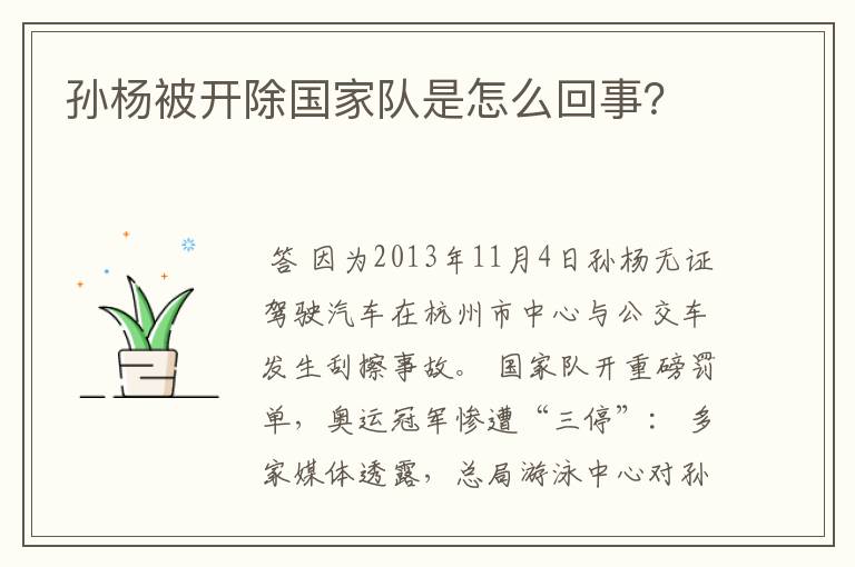 孙杨被开除国家队是怎么回事?