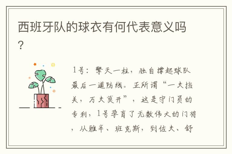 西班牙队的球衣有何代表意义吗?