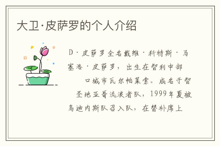 大卫·皮萨罗的个人介绍