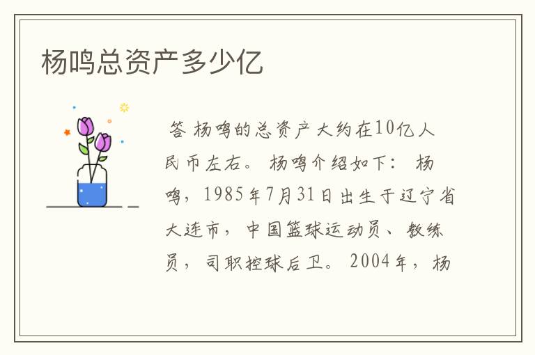 杨鸣总资产多少亿