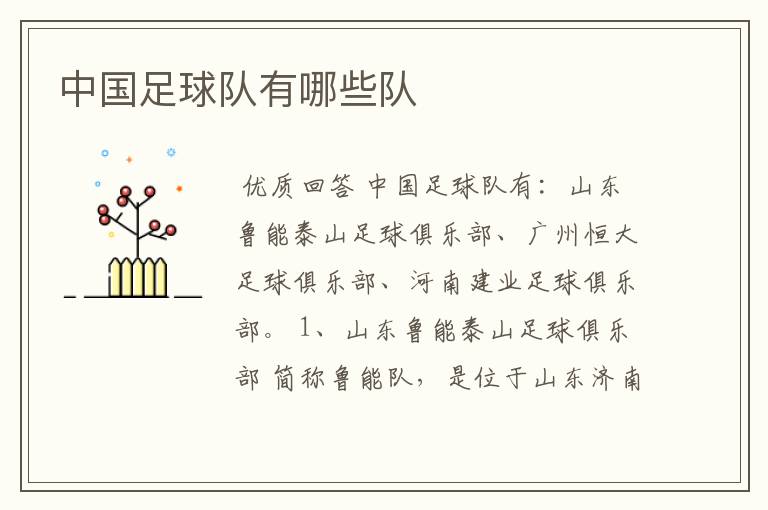 中国足球队有哪些队