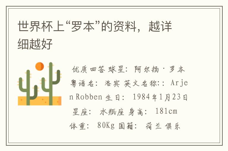 世界杯上“罗本”的资料,越详细越好