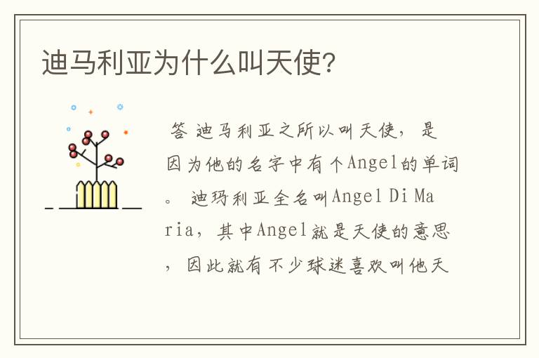 迪马利亚为什么叫天使?