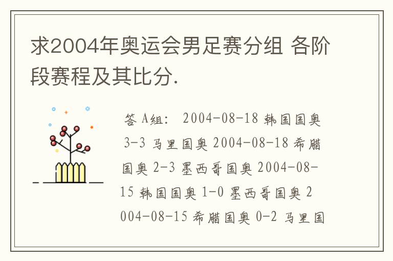求2004年奥运会男足赛分组 各阶段赛程及其比分.