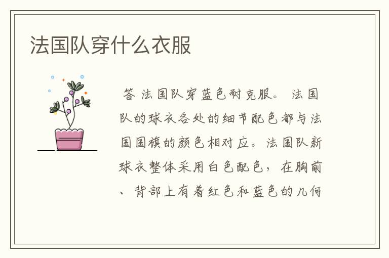 法国队穿什么衣服
