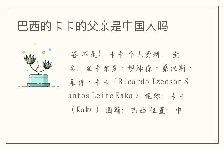 巴西的卡卡的父亲是中国人吗