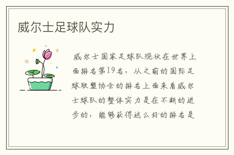 威尔士足球队实力