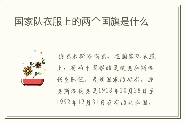 国家队衣服上的两个国旗是什么