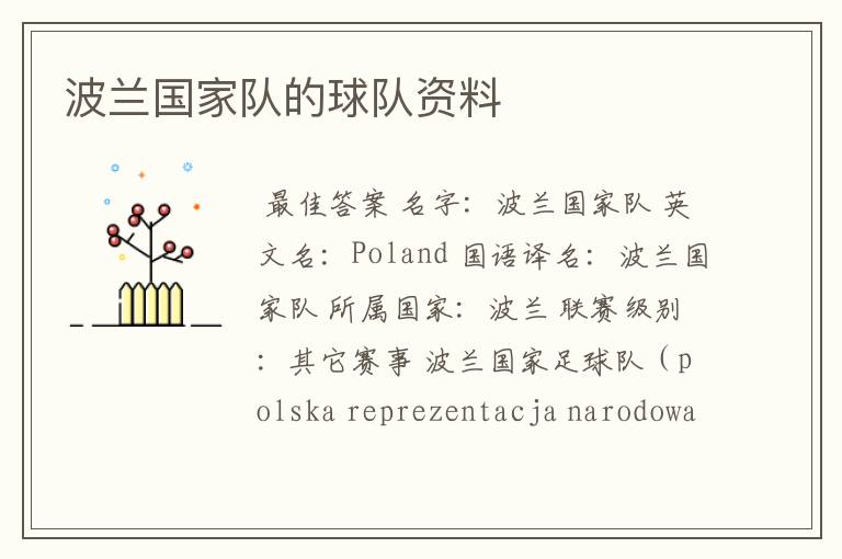 波兰国家队的球队资料