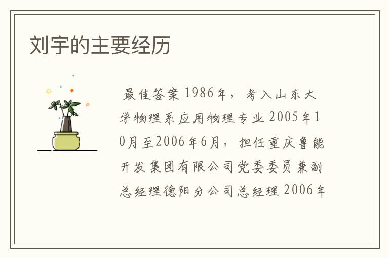 刘宇的主要经历