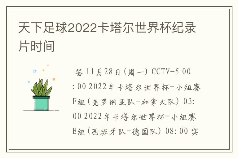天下足球2022卡塔尔世界杯纪录片时间