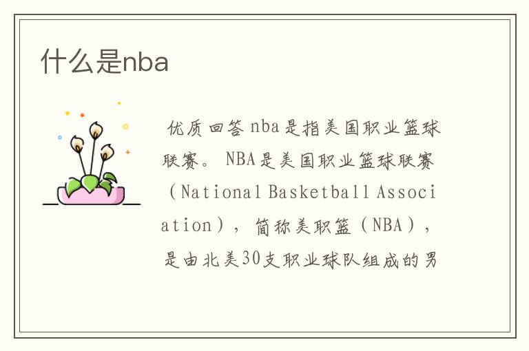 什么是nba