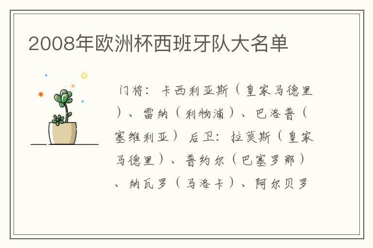 2008年欧洲杯西班牙队大名单