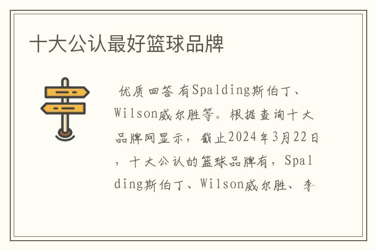 十大公认最好篮球品牌