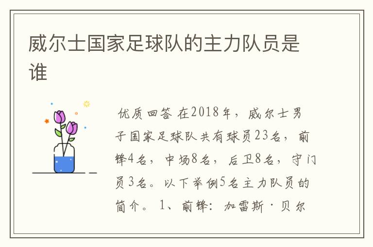 威尔士国家足球队的主力队员是谁