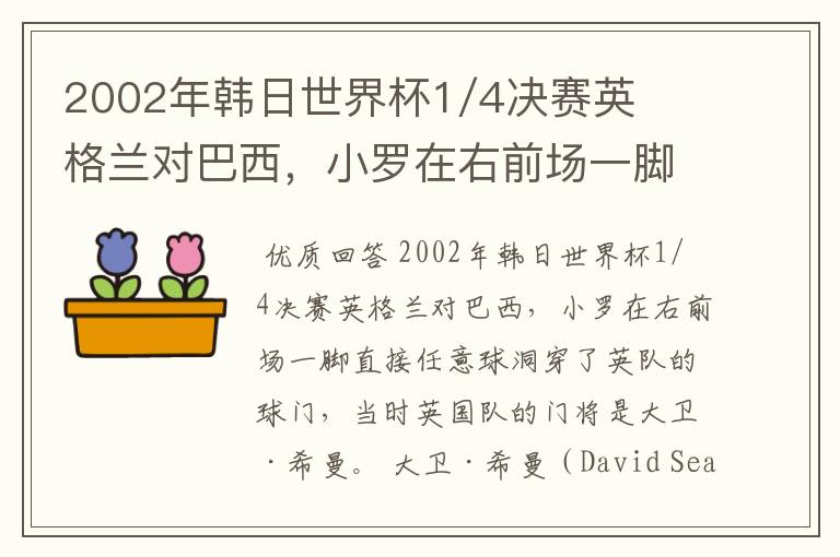 2002年韩日世界杯1/4决赛英格兰对巴西,小罗在右前场一脚直接任意球洞穿了英队的球门,问当时英队的门将是