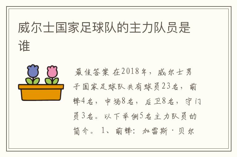 威尔士国家足球队的主力队员是谁