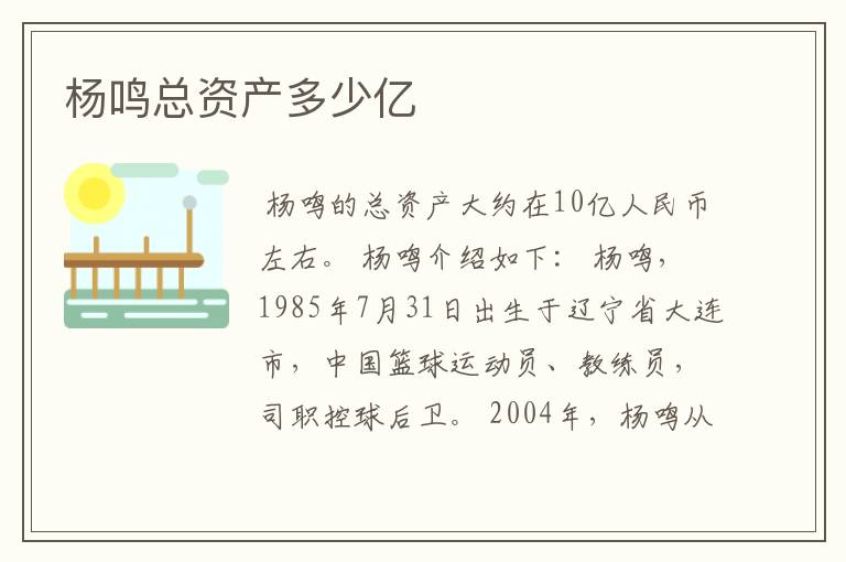 杨鸣总资产多少亿