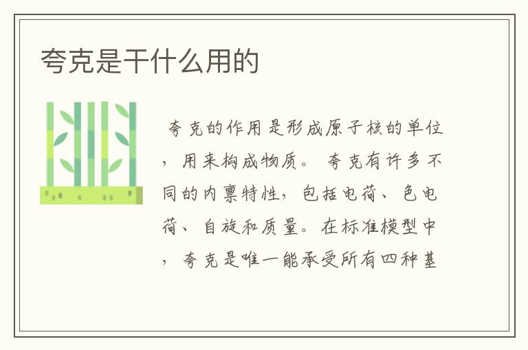 夸克是干什么用的