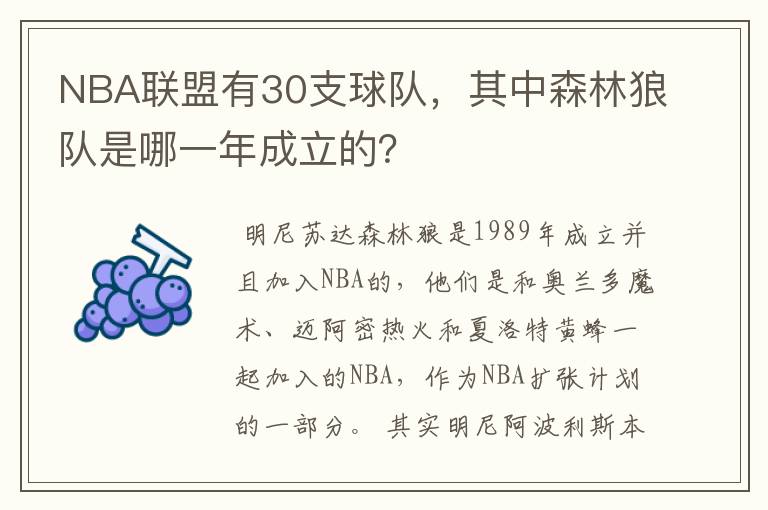 NBA联盟有30支球队,其中森林狼队是哪一年成立的?
